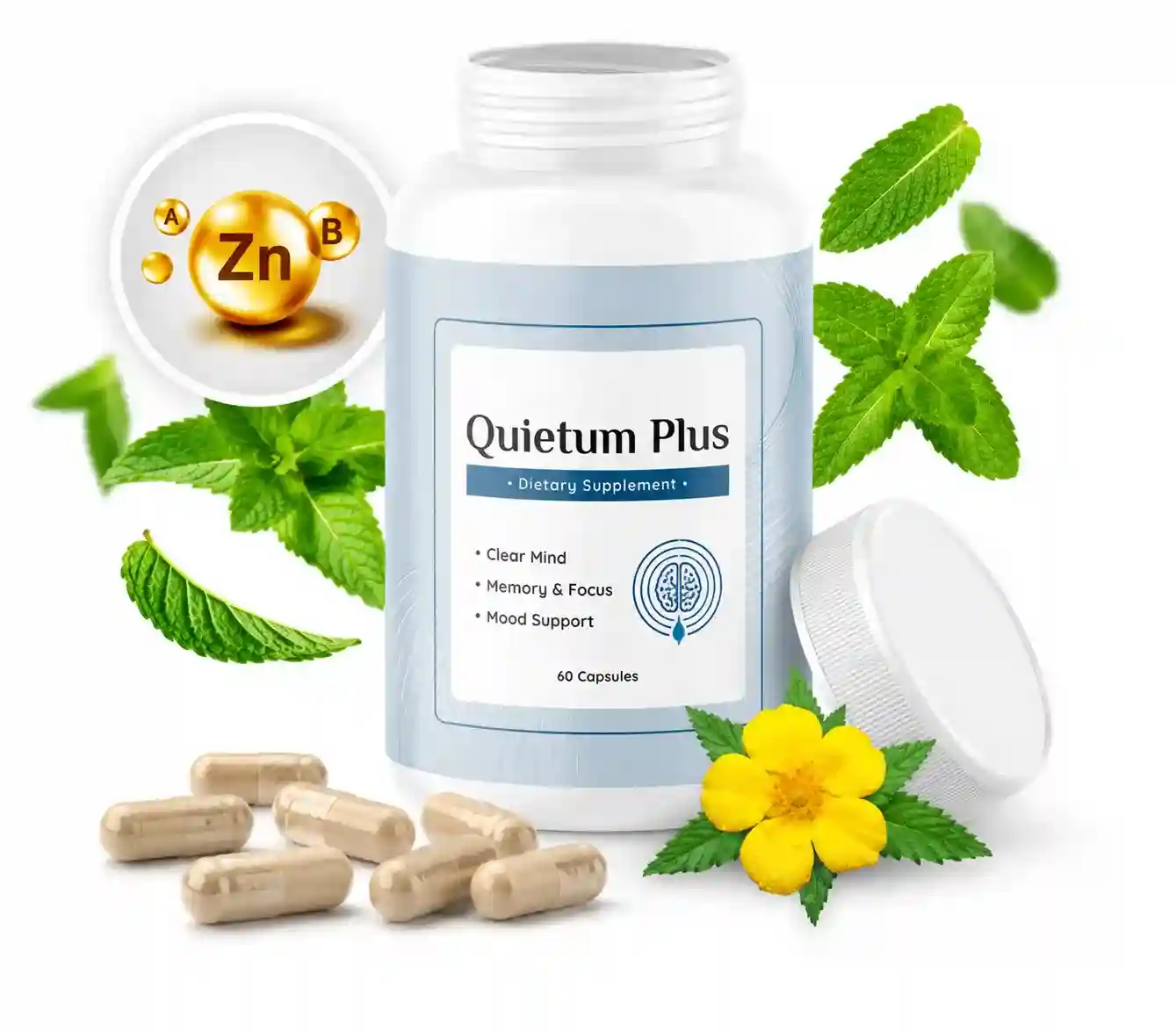 quietum plus supplement